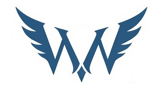 WIN WINGS wings